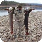 Рыбалка в Якутии – река Оленёк